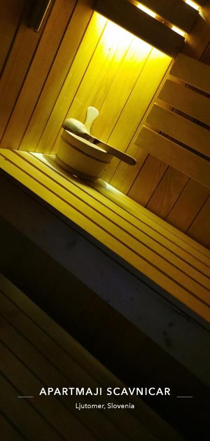 Apartments And Wellness Scavnicar ليوتومير المظهر الخارجي الصورة