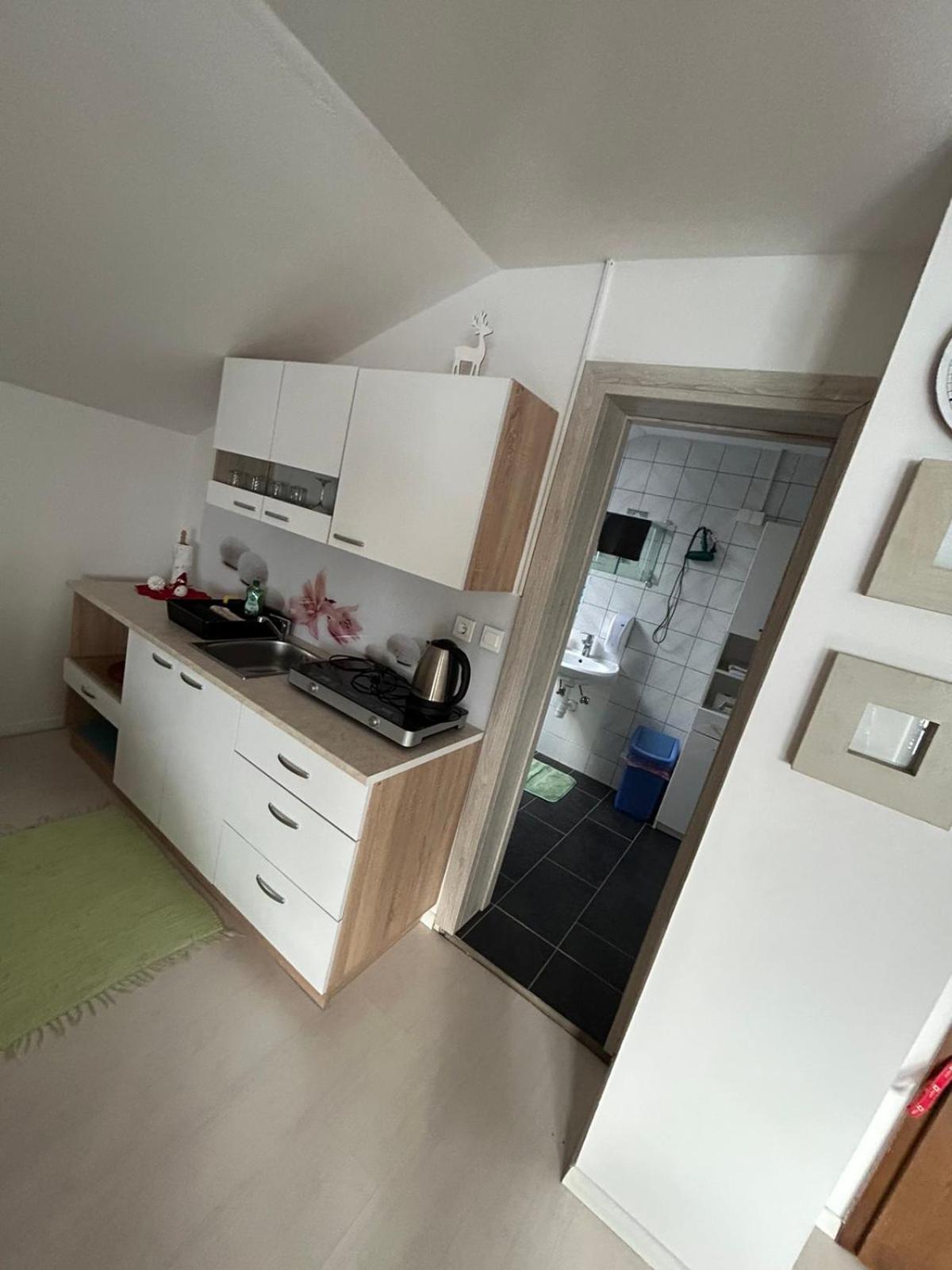 Apartments And Wellness Scavnicar ليوتومير المظهر الخارجي الصورة