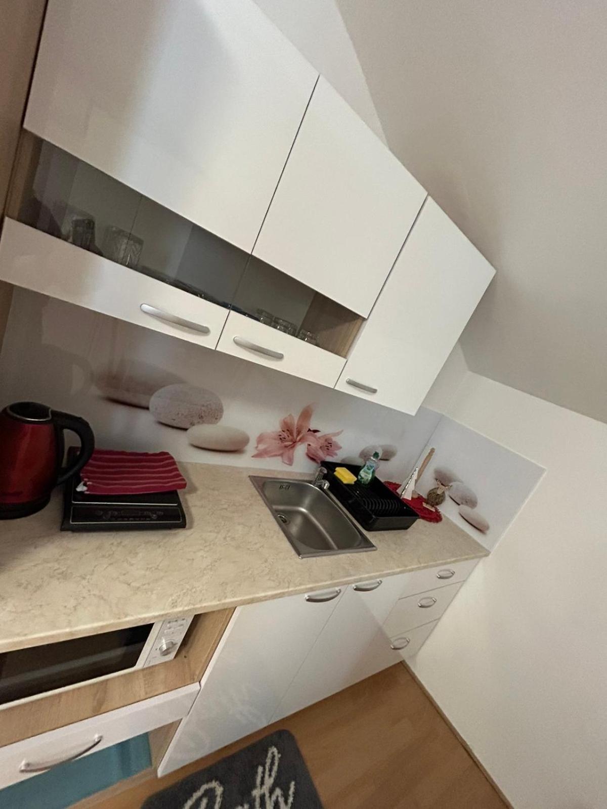 Apartments And Wellness Scavnicar ليوتومير المظهر الخارجي الصورة
