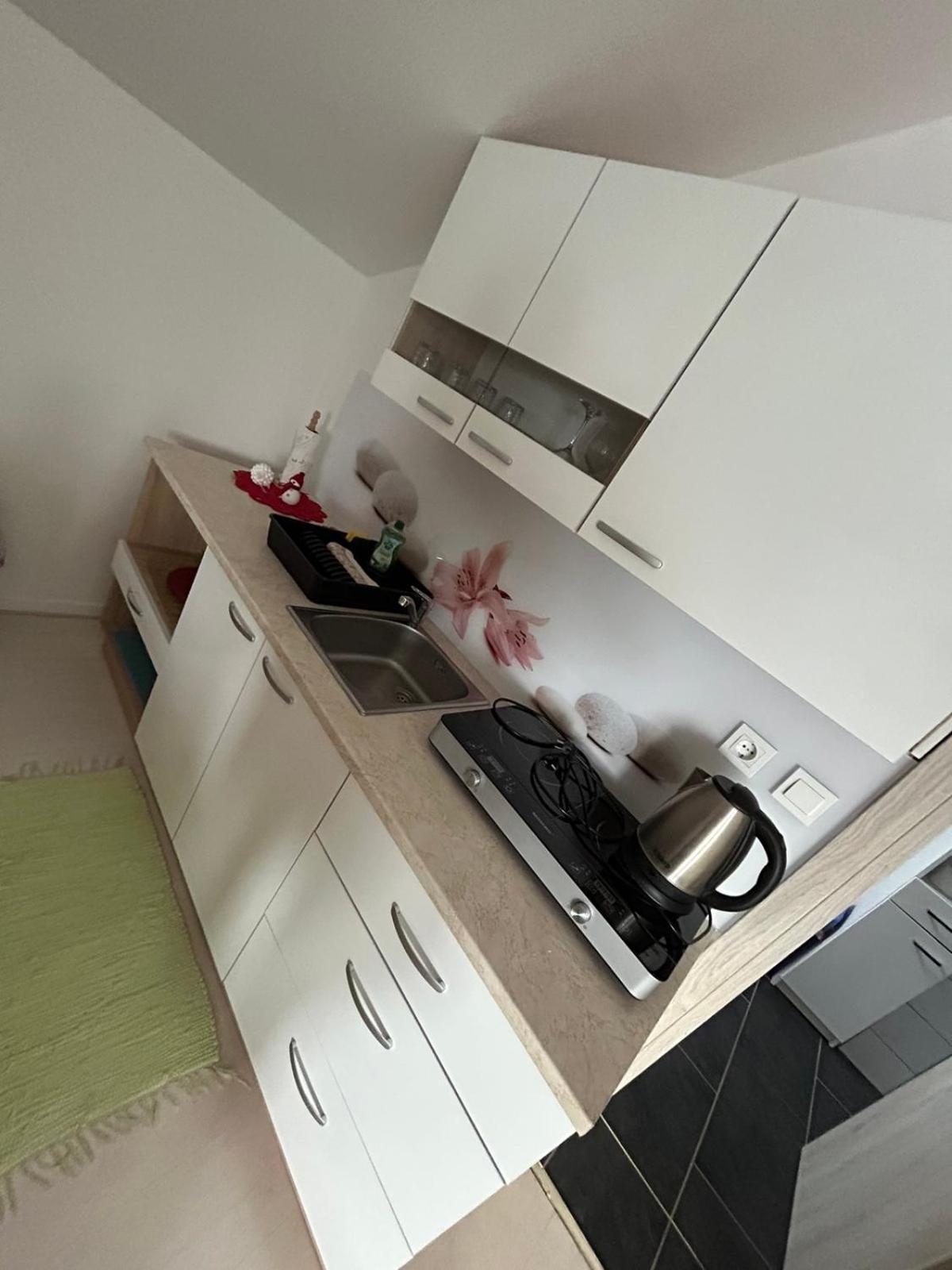 Apartments And Wellness Scavnicar ليوتومير المظهر الخارجي الصورة